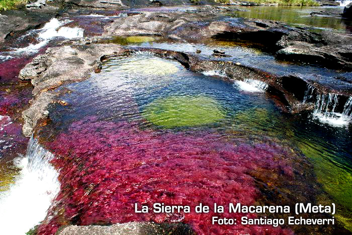 La Sierra de la Macarena - Meta La Sierra de la Macarena - Meta